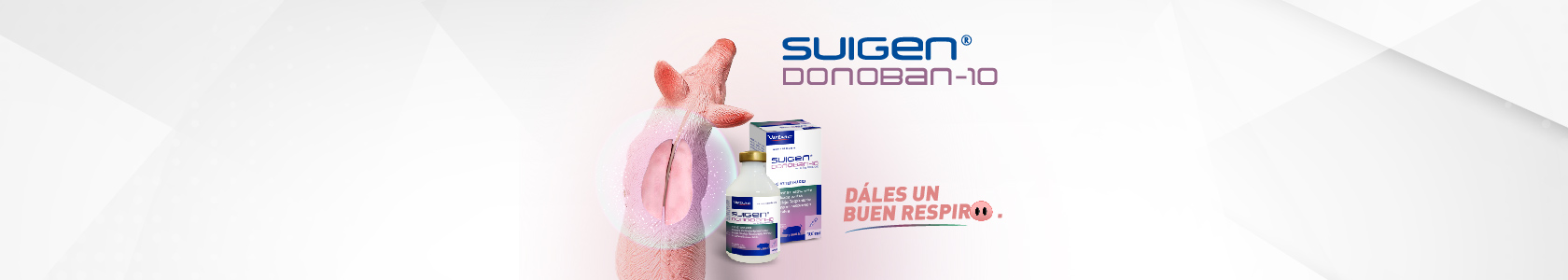 POST_lanzamiento_donoban10 karen POST_lanzamiento_donoban10 karen